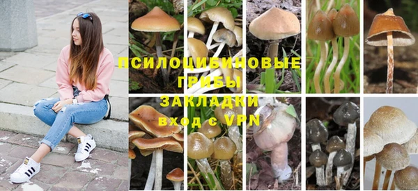 mdpv Волосово